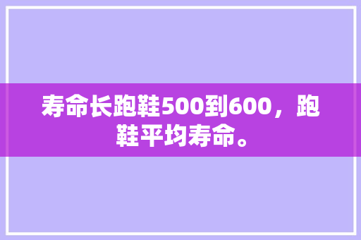 寿命长跑鞋500到600，跑鞋平均寿命。 寿命长跑鞋500到600，跑鞋平均寿命。 大匠心设计
