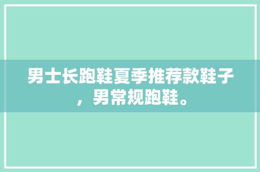 男士长跑鞋夏季推荐款鞋子，男常规跑鞋。