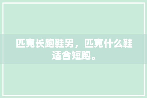 匹克长跑鞋男，匹克什么鞋适合短跑。 匹克长跑鞋男，匹克什么鞋适合短跑。 大匠心设计