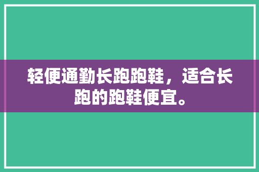 轻便通勤长跑跑鞋，适合长跑的跑鞋便宜。 轻便通勤长跑跑鞋，适合长跑的跑鞋便宜。 大精工智造