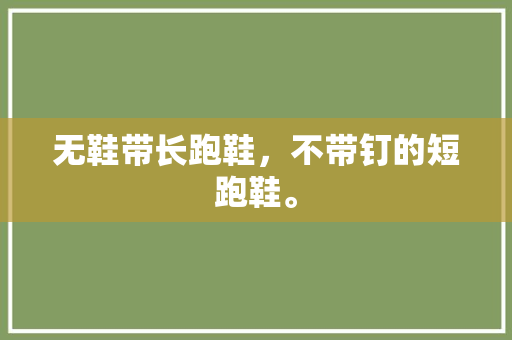 无鞋带长跑鞋，不带钉的短跑鞋。