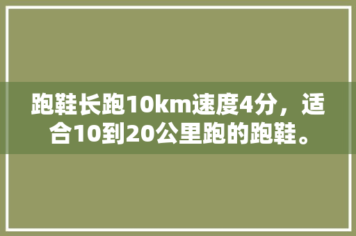 跑鞋长跑10km速度4分，适合10到20公里跑的跑鞋。 跑鞋长跑10km速度4分，适合10到20公里跑的跑鞋。 大匠心设计