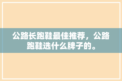 公路长跑鞋最佳推荐，公路跑鞋选什么牌子的。 公路长跑鞋最佳推荐，公路跑鞋选什么牌子的。 大精工智造