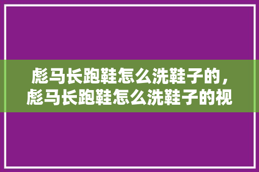 彪马长跑鞋怎么洗鞋子的，彪马长跑鞋怎么洗鞋子的视频。