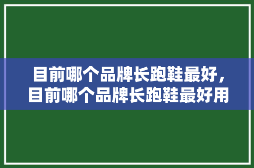 目前哪个品牌长跑鞋最好，目前哪个品牌长跑鞋最好用。 目前哪个品牌长跑鞋最好，目前哪个品牌长跑鞋最好用。 大精工智造