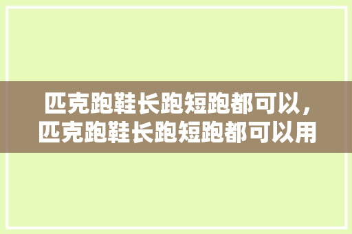 匹克跑鞋长跑短跑都可以，匹克跑鞋长跑短跑都可以用吗。 匹克跑鞋长跑短跑都可以，匹克跑鞋长跑短跑都可以用吗。 大精工智造