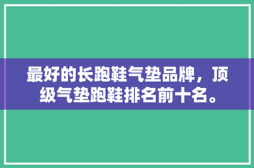 最好的长跑鞋气垫品牌，顶级气垫跑鞋排名前十名。
