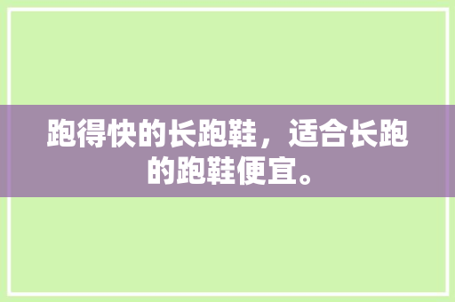 跑得快的长跑鞋，适合长跑的跑鞋便宜。 跑得快的长跑鞋，适合长跑的跑鞋便宜。 大精工智造