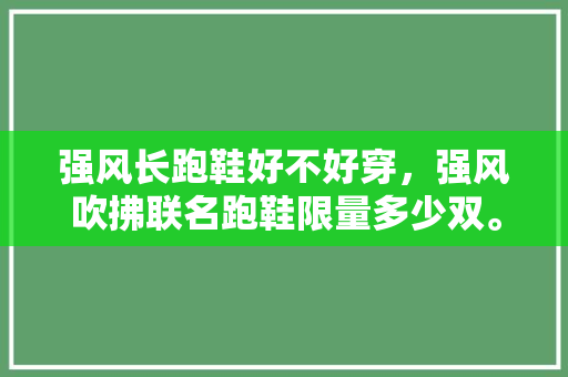 强风长跑鞋好不好穿，强风吹拂联名跑鞋限量多少双。 强风长跑鞋好不好穿，强风吹拂联名跑鞋限量多少双。 大匠心设计