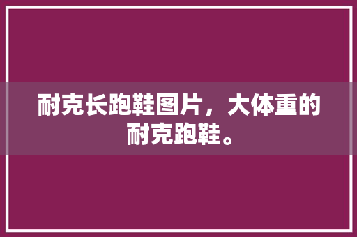 耐克长跑鞋图片，大体重的耐克跑鞋。 耐克长跑鞋图片，大体重的耐克跑鞋。 大精工智造