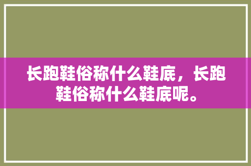 长跑鞋俗称什么鞋底，长跑鞋俗称什么鞋底呢。