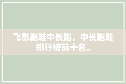 飞影跑鞋中长跑，中长跑鞋排行榜前十名。 飞影跑鞋中长跑，中长跑鞋排行榜前十名。 大匠心设计