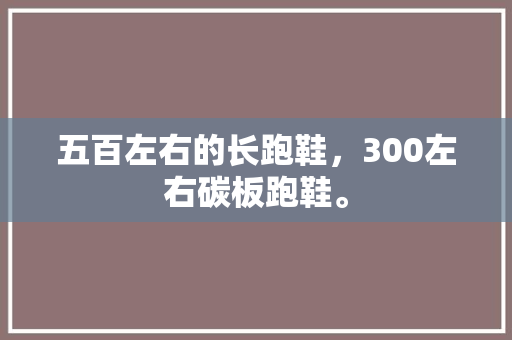 五百左右的长跑鞋，300左右碳板跑鞋。