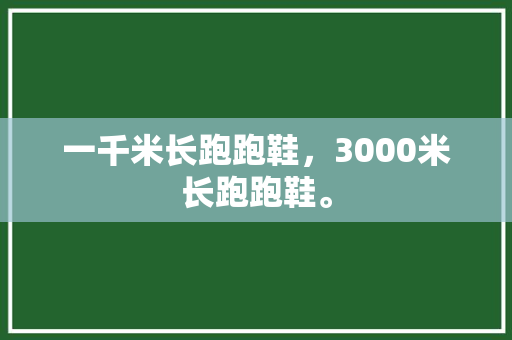 一千米长跑跑鞋，3000米长跑跑鞋。 一千米长跑跑鞋，3000米长跑跑鞋。 大精工智造