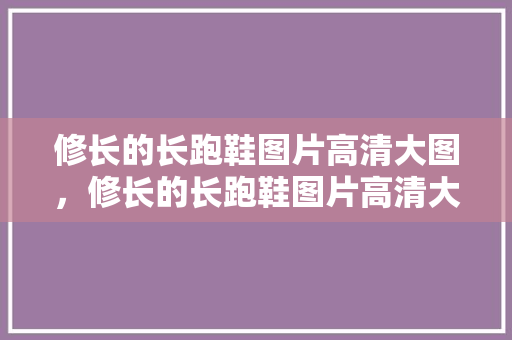 修长的长跑鞋图片高清大图,修长的长跑鞋图片高清大图女。 品牌鞋 修长的长跑鞋图片高清大图,修长的长跑鞋图片高清大图女。 修长的长跑鞋图片高清大图,修长的长跑鞋图片高清大图女。 品牌鞋