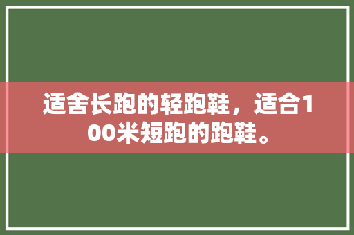 适舍长跑的轻跑鞋，适合100米短跑的跑鞋。 适舍长跑的轻跑鞋，适合100米短跑的跑鞋。 大匠心设计