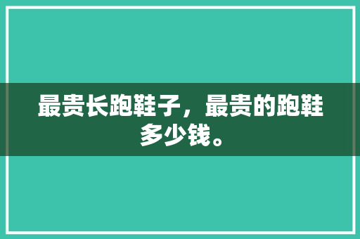 最贵长跑鞋子，最贵的跑鞋多少钱。 最贵长跑鞋子，最贵的跑鞋多少钱。 大匠心设计