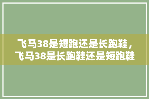 飞马38是短跑还是长跑鞋，飞马38是长跑鞋还是短跑鞋。 飞马38是短跑还是长跑鞋，飞马38是长跑鞋还是短跑鞋。 大匠心设计
