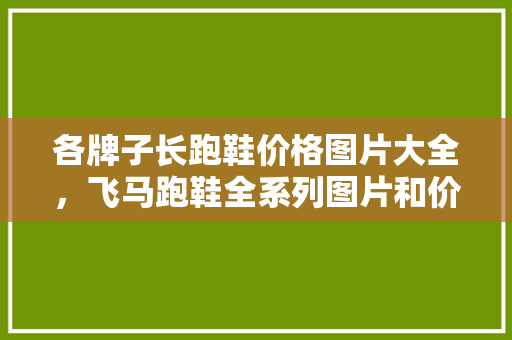 各牌子长跑鞋价格图片大全，飞马跑鞋全系列图片和价格及图片。