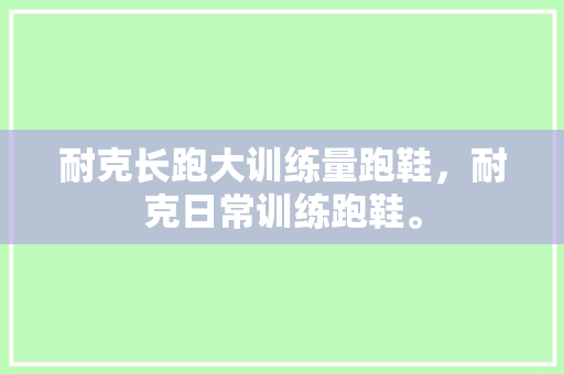 耐克长跑大训练量跑鞋，耐克日常训练跑鞋。