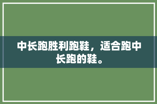中长跑胜利跑鞋，适合跑中长跑的鞋。