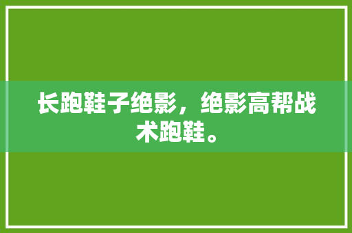 长跑鞋子绝影，绝影高帮战术跑鞋。