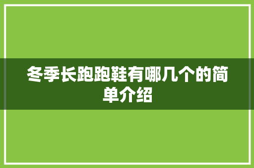 冬季长跑跑鞋有哪几个的简单介绍