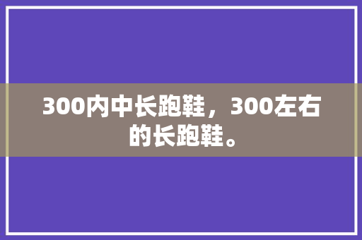 300内中长跑鞋,300左右的长跑鞋。 大精工智造 300内中长跑鞋,300左右的长跑鞋。 300内中长跑鞋,300左右的长跑鞋。 大精工智造