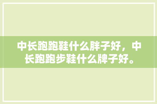中长跑跑鞋什么胖子好，中长跑跑步鞋什么牌子好。