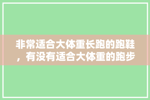 非常适合大体重长跑的跑鞋，有没有适合大体重的跑步鞋品牌。